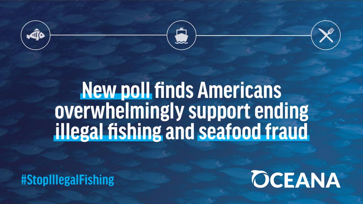 American Voters Want To End Illegal Fishing & Seafood Fraud | Oceana USA