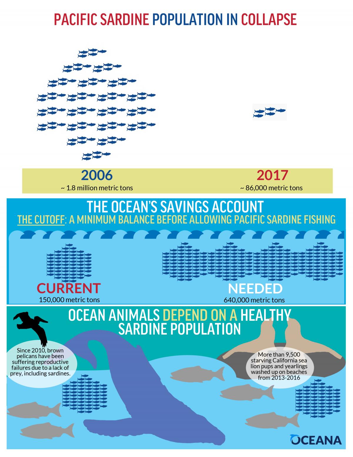 The Modern Day Pacific Sardine Collapse: How to Prevent a Future Crisis ...