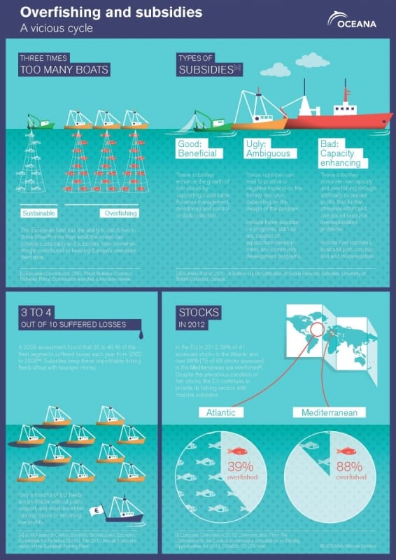 The Good, the Bad, and the Ugly: EU Fishing Subsidies | Oceana USA
