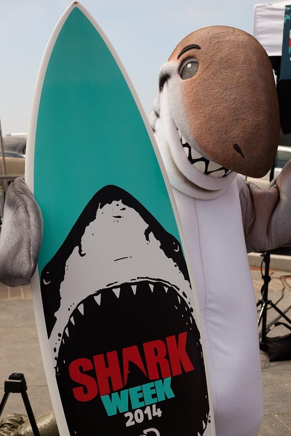 photos: dusky the shark makes his first appearance at shark week