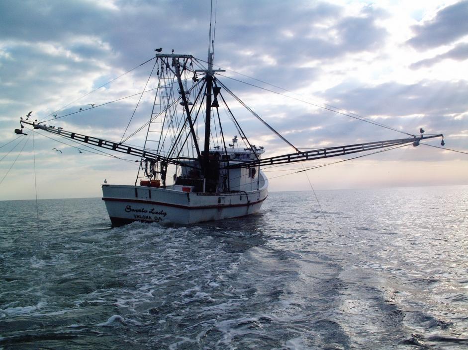 Risks of Chemical Exposure on Commercial Fishing Boats - Steven M