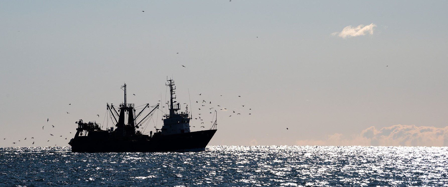 Tech solutions to tackle overfishing, labor abuse at sea