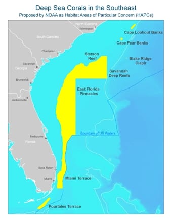 Victory for Deep-Sea Corals in the Southeast - Oceana USA