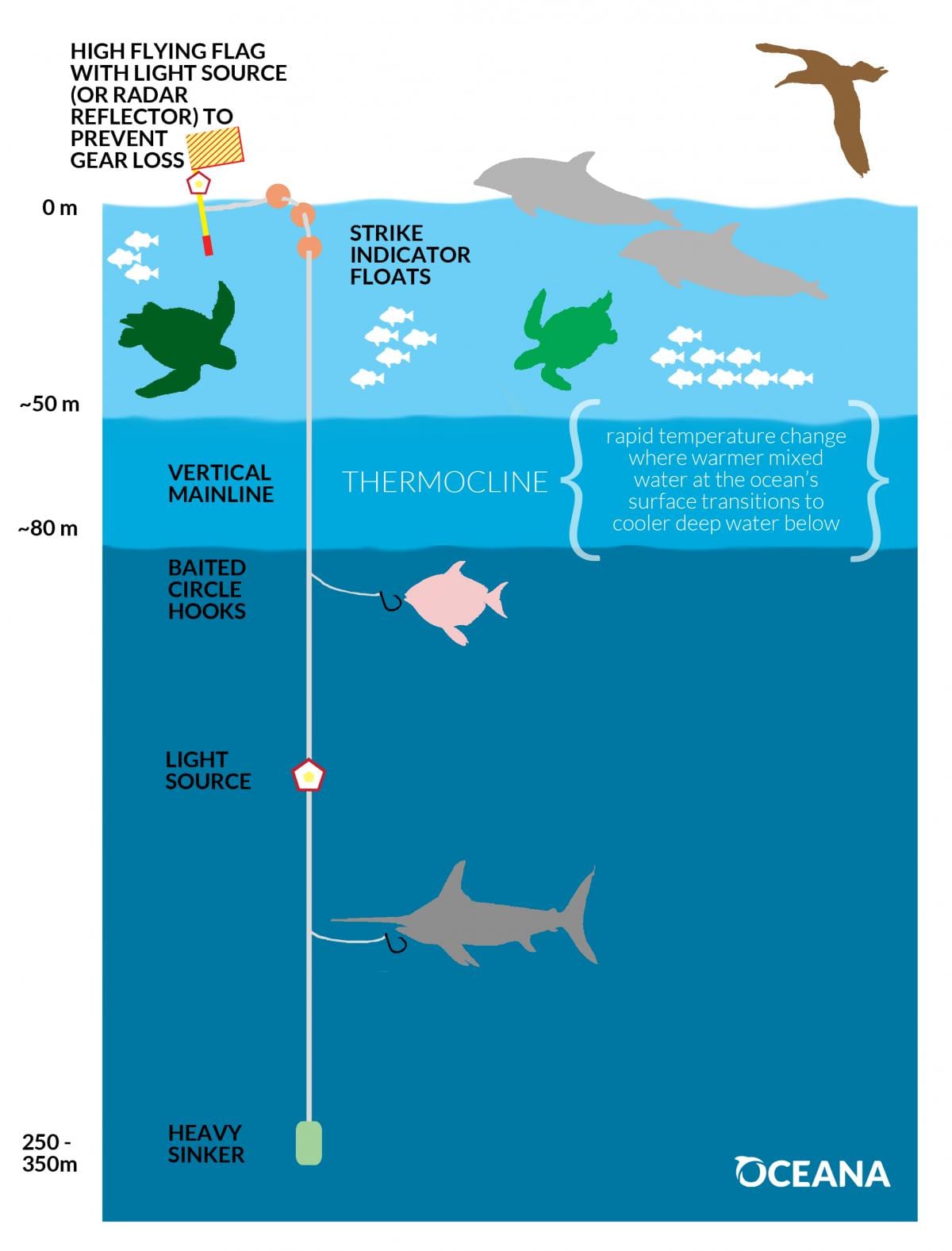 Achieving a Sustainable Swordfish Fishery with Deep-Set Buoy Gear - Oceana  USA