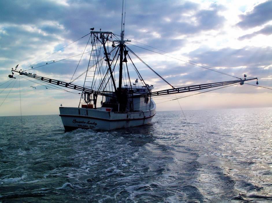 U.S. Fisheries Management 101 - Oceana USA