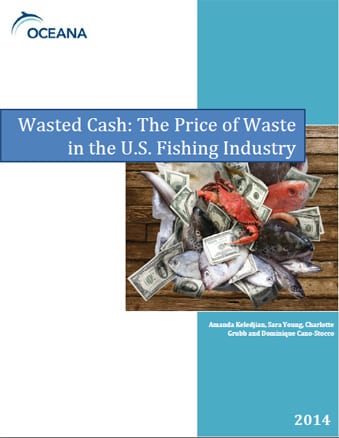 Wasted Cash: The Price of Waste in the U.S. Fishing Industry - Oceana USA