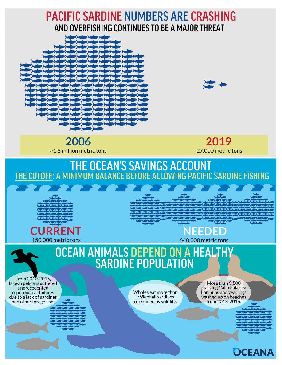 The Modern Day Pacific Sardine Collapse: How to Prevent a Future Crisis -  Oceana USA