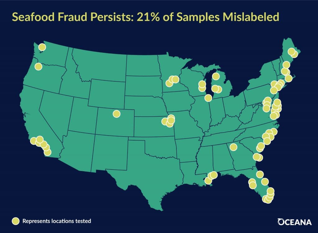 Casting a Wider Net: More Action Needed to Stop Seafood Fraud in