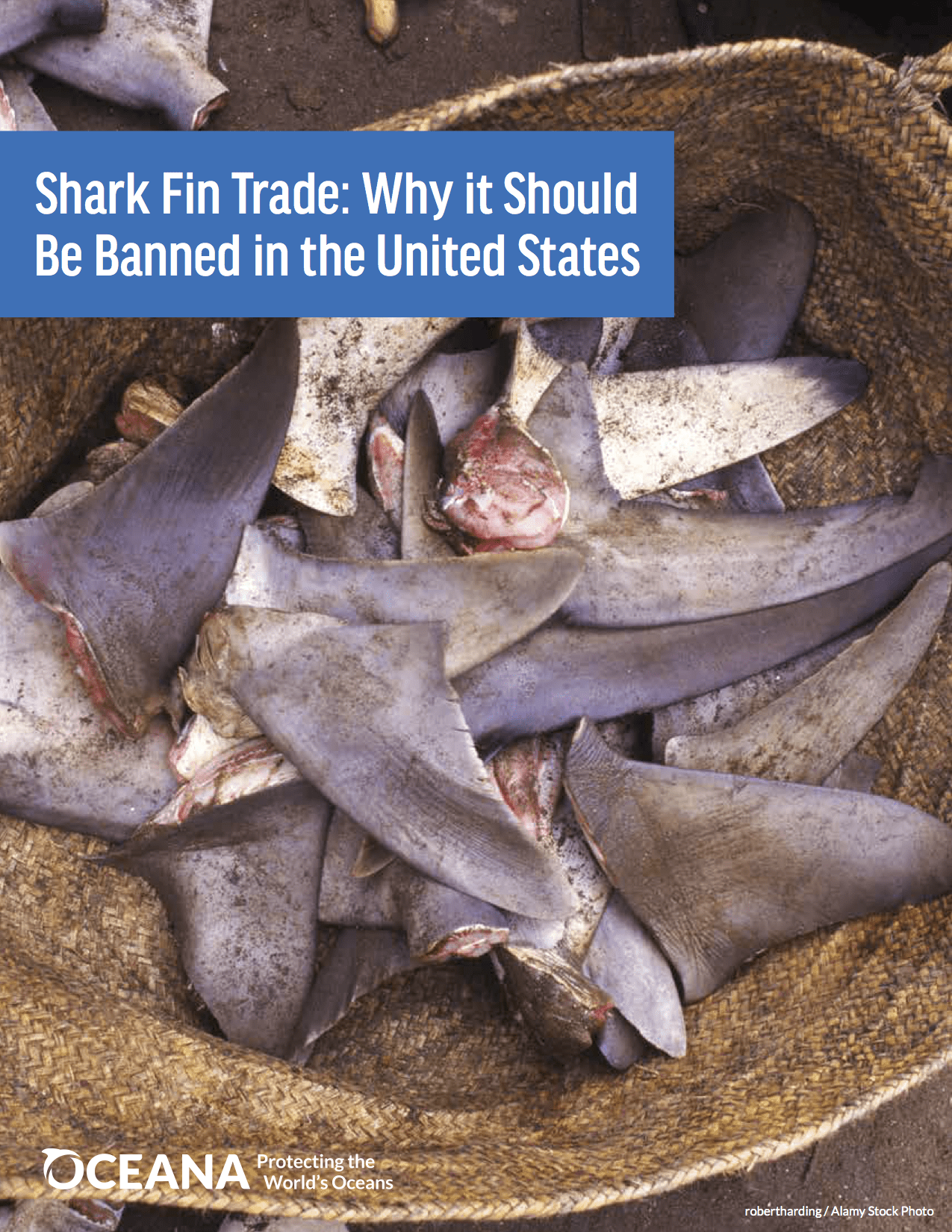 Shark fin is banned in 12 U.S. states—but it's still on the menu