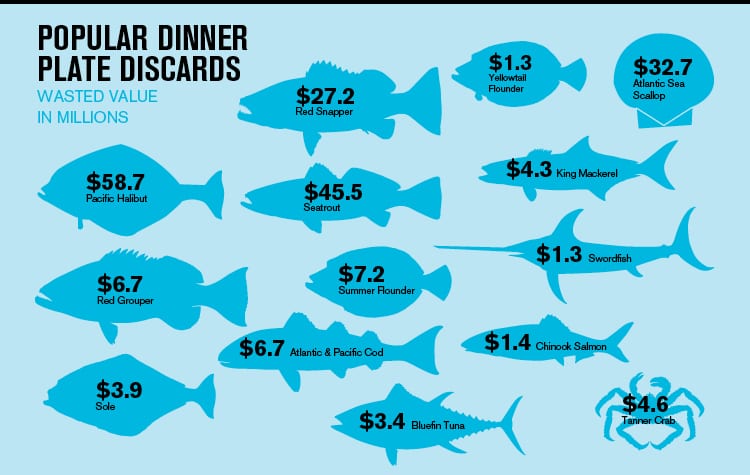 Wasted Cash Fish Chart Infographic